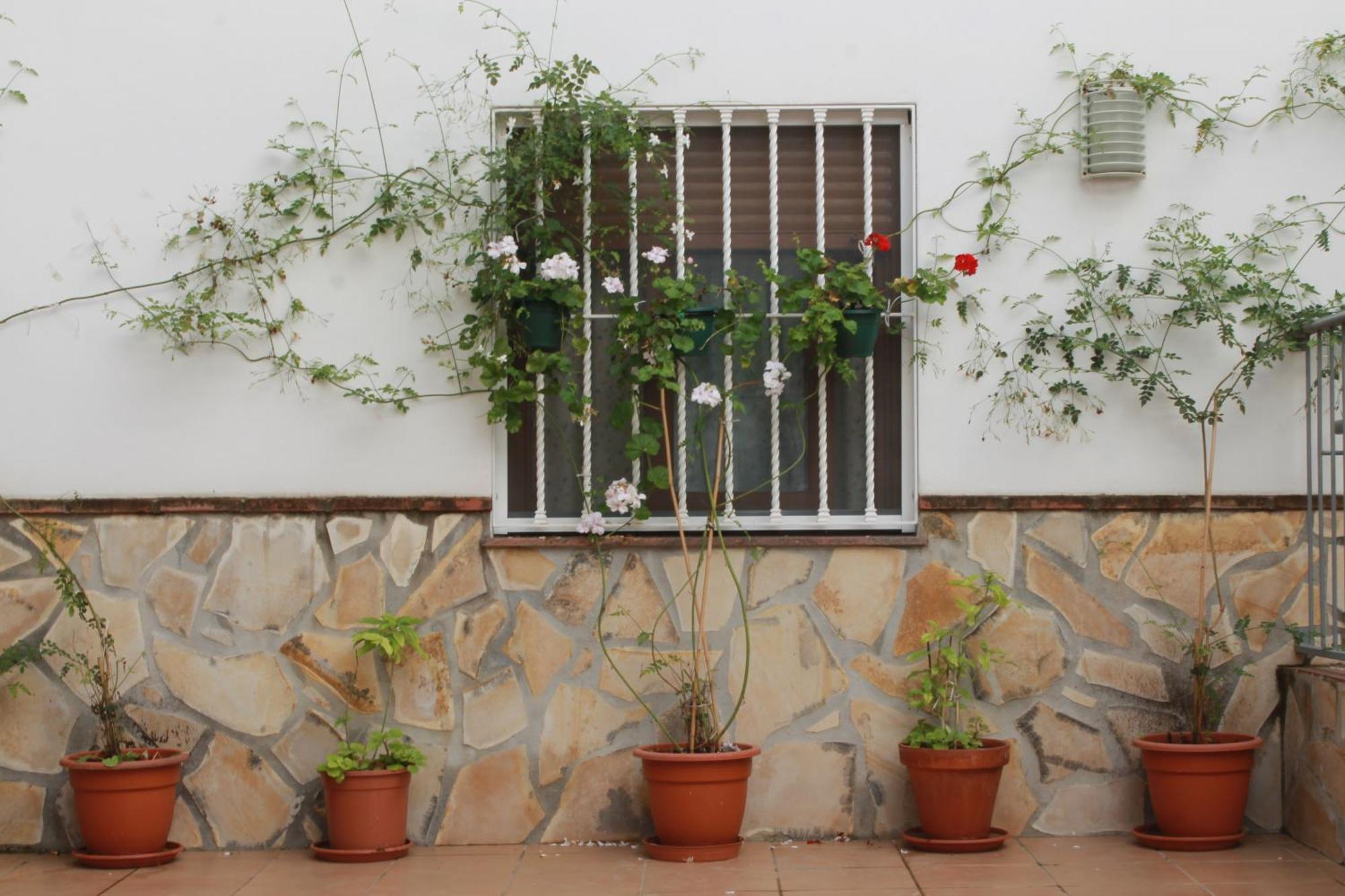 Apartment Casa Secreta Velez-malaga Centro Velez Malaga