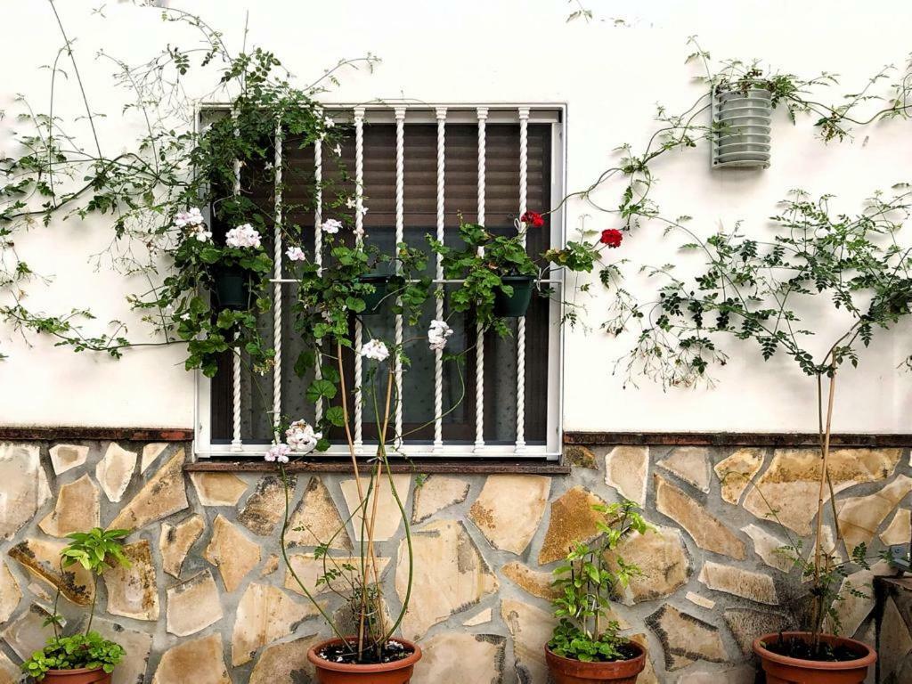 Casa Secreta Velez-malaga Centro