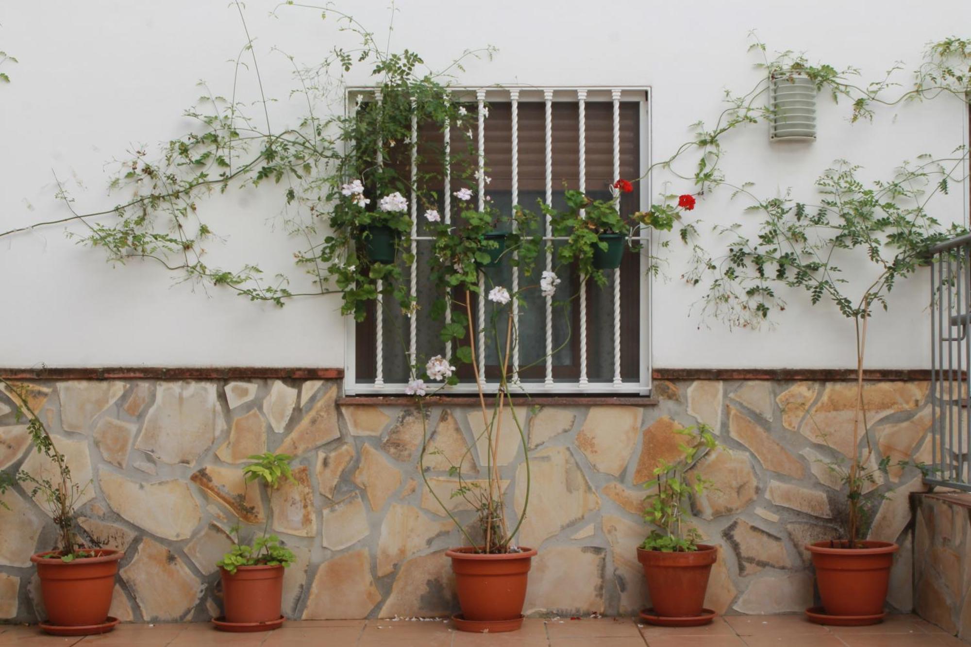 Casa Secreta Vélez-málaga Centro * Vélez